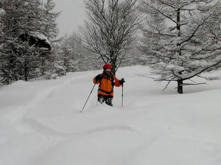 IMG_5529.jpg