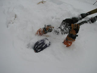 IMG_5573.jpg