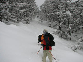 IMG_5575.jpg