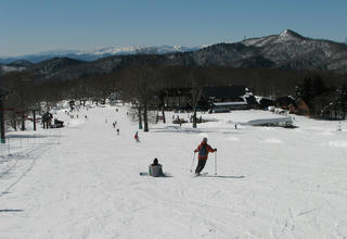 IMG_5638.jpg