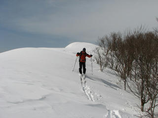 IMG_5838.jpg