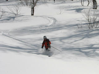 IMG_5873.jpg