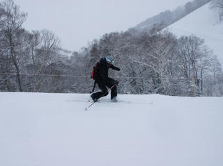 DSC00449.jpg
