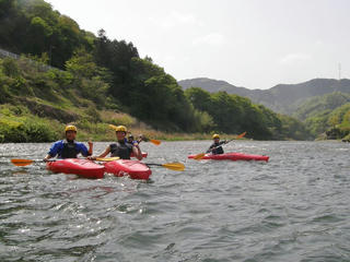 P5040272.jpg