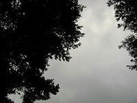 IMG_2422.jpg