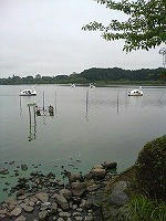DSC06534.jpg