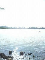 DSC06535.jpg