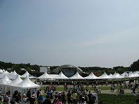 IMG_5470.jpg