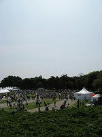 IMG_5472.jpg