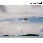 bird_mylove.jpg