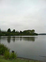 DSC06545.jpg