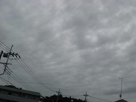 IMG_5646.jpg
