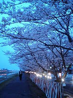 DSC00012.jpg