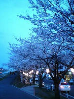DSC00014.jpg