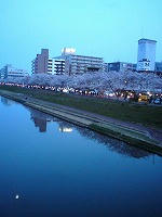 DSC00016.jpg