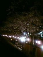 DSC00019.jpg
