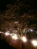 DSC00020.jpg
