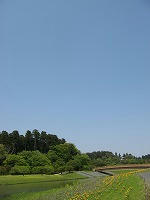 IMG_6734.jpg