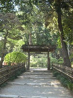 IMG_6747.jpg