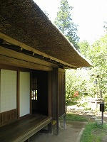 IMG_6759.jpg