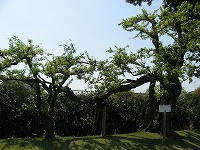 IMG_6712.jpg