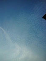 DSC00050.jpg