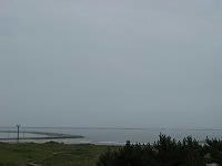 IMG_7306.jpg