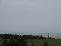 IMG_7307.jpg