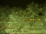 a59681f1.JPG