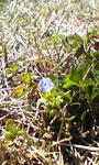 100327_1006~01.JPG