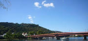 P1050407hitsuzantrim.JPG