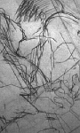 100111_2157~01.gif