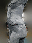 7.gif