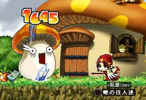 Maple0eew056kkk.JPG