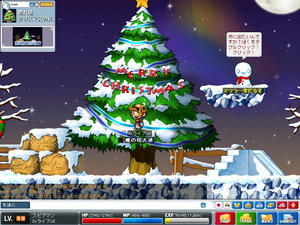 Maple0162.jpg