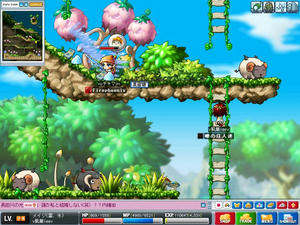 Maple0230.jpg