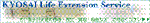 10120121894_s.gif