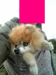 Image2161.JPG