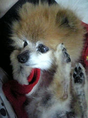 Image001.jpg