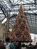 IMG_1136.JPG