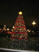 IMG_1225.JPG