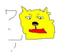 634c574a.jpg
