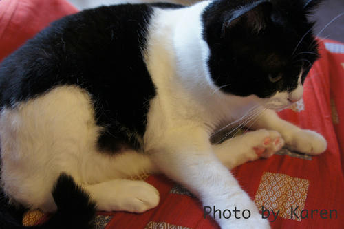 DSC01898s.jpg