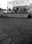 SH380222.jpg