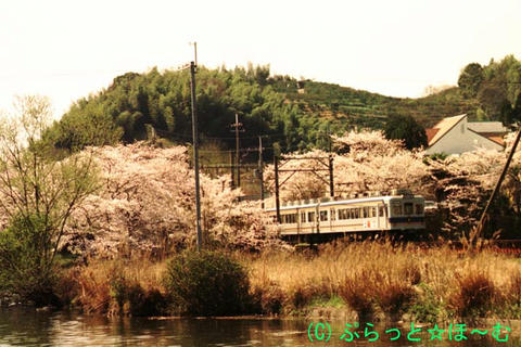 いちご電車