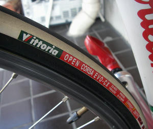 IMGP0979.jpg
