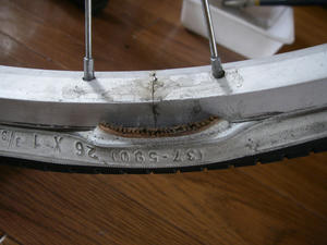 IMGP1063.jpg