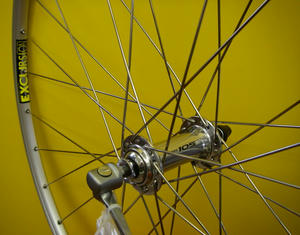 IMGP1090.jpg