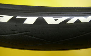 IMGP1098.jpg