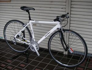 IMGP1246.jpg